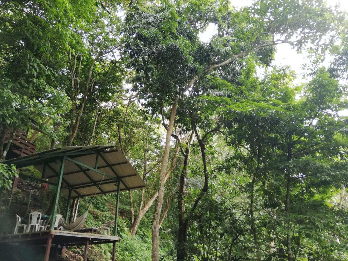 مانويل أنطونيو La Montanita Lodge المظهر الخارجي الصورة
